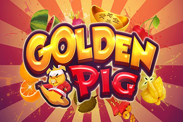 Golden Pig