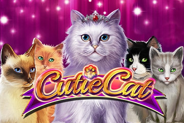 Cutie Cat online